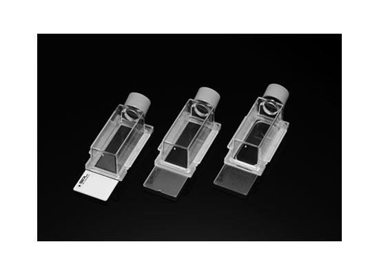 Hybridwell Slide Tip Hücre Kültürü Kabı