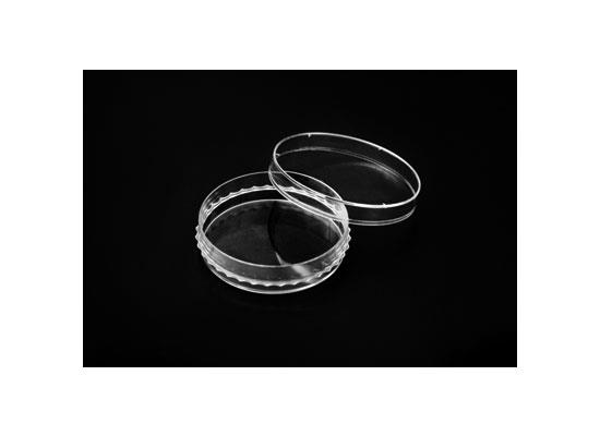 IVF Hücre Kültürü Petri Kabı
