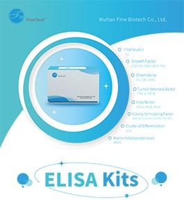 ELISA Kit Exhibition Board