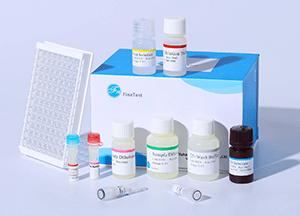 FineTest ELISA Kit