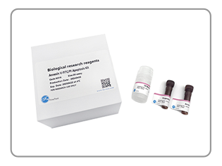 Annexin V Assay Kit