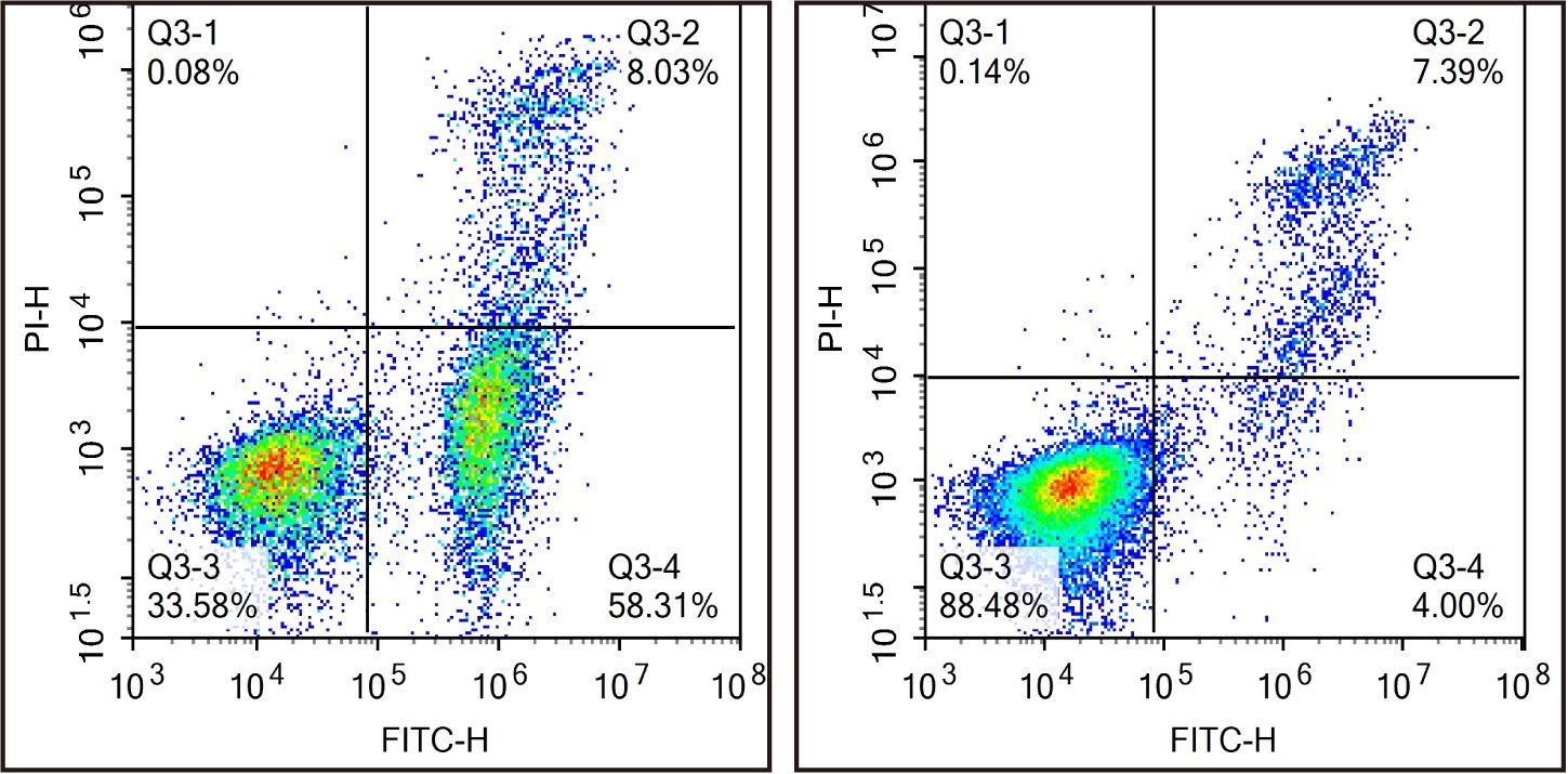Cell Function Assay Kits